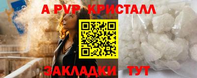 шишки Изобильный