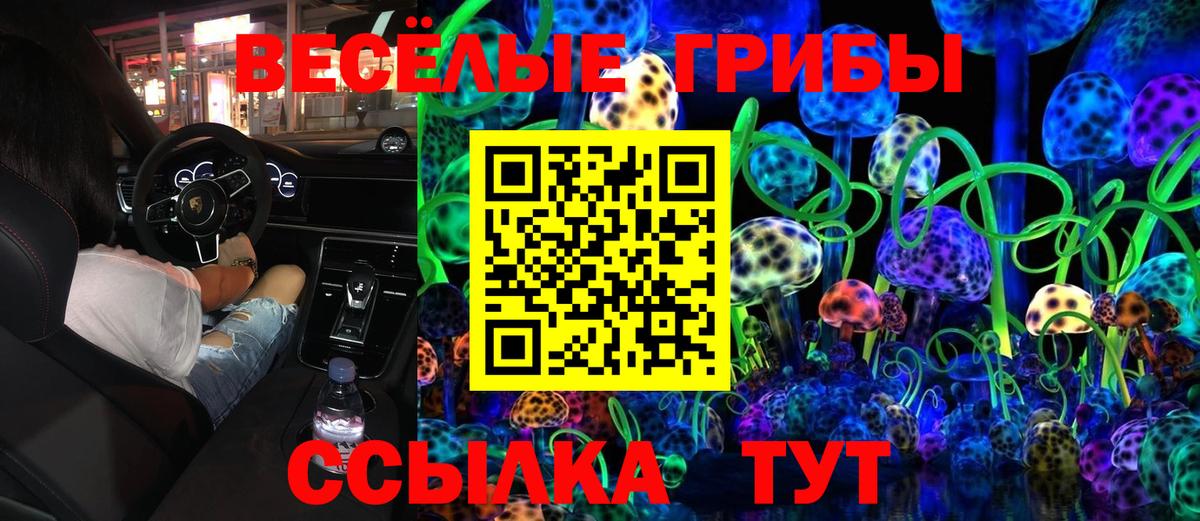 Псилоцибиновые грибы прущие грибы Королёв