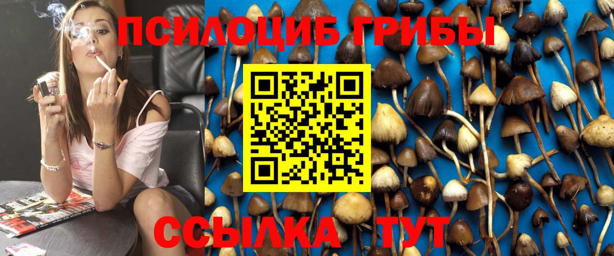 Королёв  Псилоцибиновые грибы Magic Shrooms  Вход с VPN 